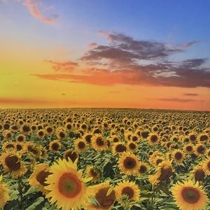 Meet your Posher, Ten